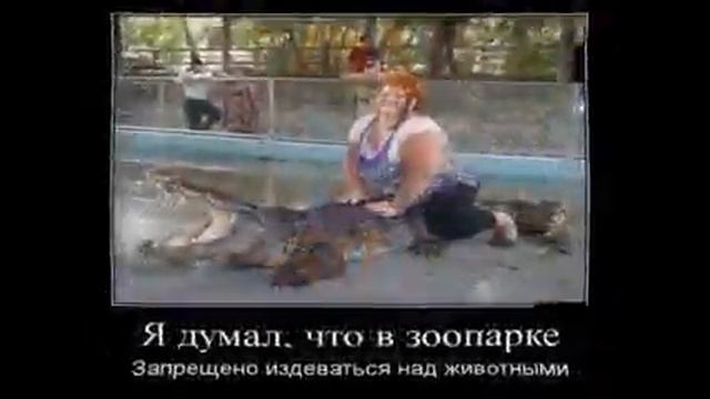 ДЕМОТИВАТОРЫ! ПРИКОЛЫ! Я ПЛАКАЛ!!! медведь напал на человека прикол смотреть онлайн