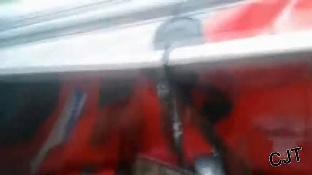 Лучшие прикольные видосы... смотреть онлайн