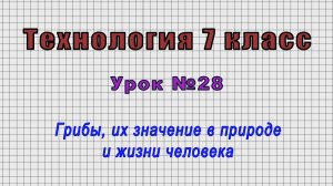Технология 7 класс (Урок№28 - Грибы, их значение в природе и жизни человека.)