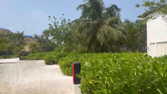 Holiday Inn Kandooma Maldives 4* _ обзор острова на Мальдивах 2024