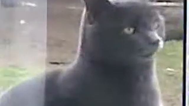 Открой Саня  Приколы