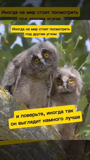 На мир под другим углом смотреть онлайн
