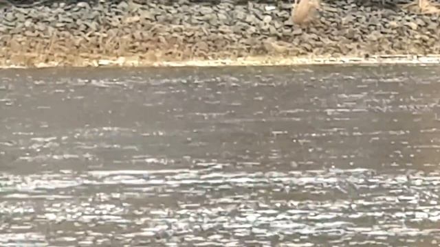 У САМВЕЛА БЕЗОБРАЗНЫЕ ВИДЕО, ПОССОРИЛИСЬ ИЗ ЗА СЕЛФИ смотреть онлайн