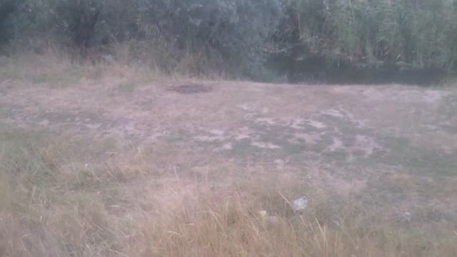 ДУБЫ! ЧАСТЬ 4.