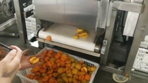 Пример промышленного удаление косточек из абрикосов