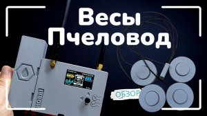 Пасечные весы «Пчеловод» — умный контроль ульев 24/7. Обзор и предзаказ