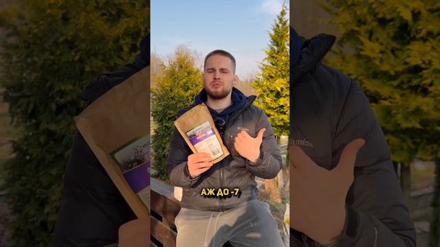 Эти сидераты улучшат плодородие и структуру почвы смотреть онлайн