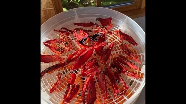 Сушёные и вяленые помидоры смотреть онлайн
