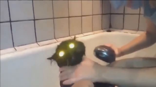 BEST CUBE #06 ЛУЧШАЯ ПОДБОРКА COUB ПРИКОЛЫ 2017  FUNNY MOMENTS