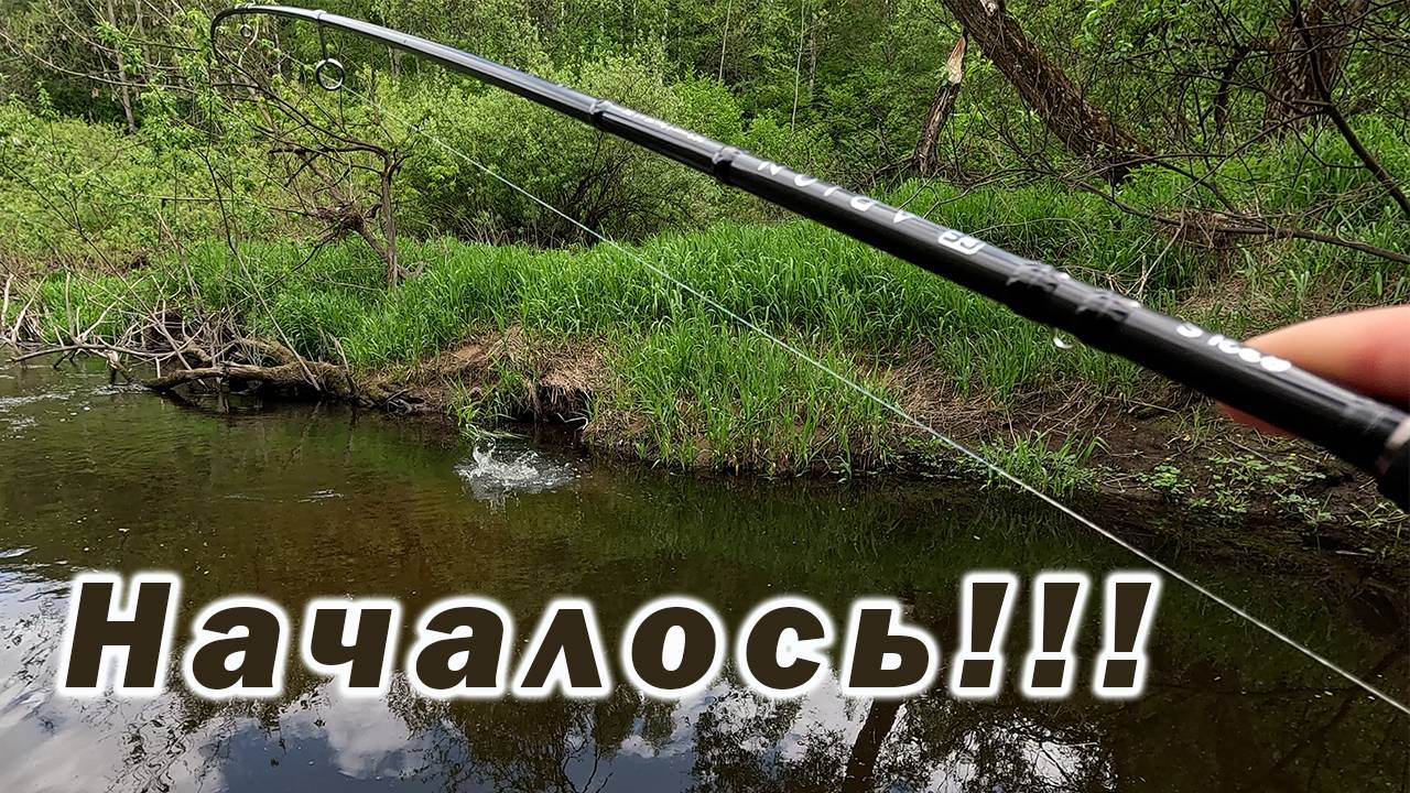 ТАКОЙ КЛЁВ МЫ ЖДАЛИ ВСЮ ВЕСНУ!!! ГОЛАВЛЬ ПРОСНУЛСЯ!!! смотреть онлайн