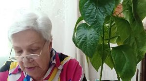 Некроз стеблей ТОМАТОВ и других растений.