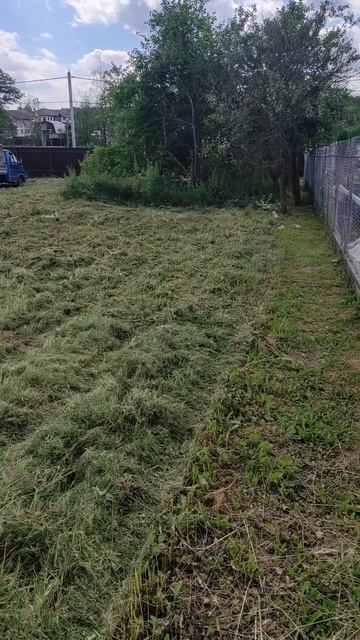 Покос Бурьяна Мульчером Вездекос #вездекос #дача #бурь смотреть онлайн