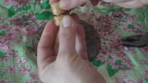 Подготовка корковой пробки к укупорке вина. Почему пл?