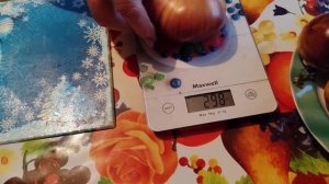 Коллекционный томат -  Сарт Ролуаз