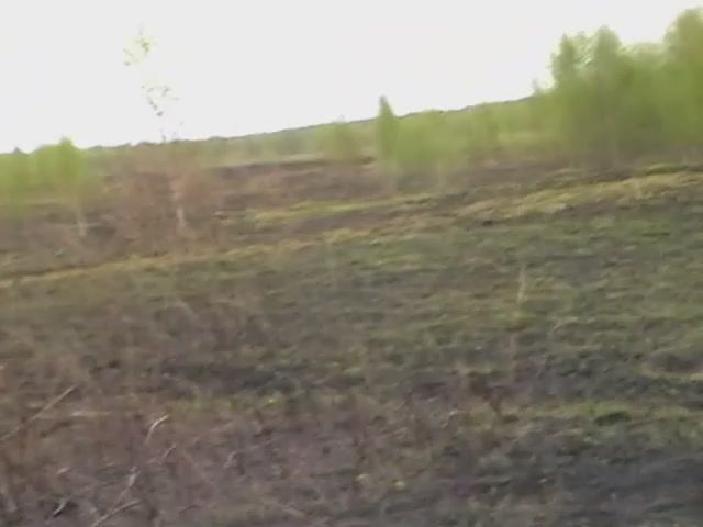 Пожар!!! Кто поджег деревню_!? смотреть онлайн