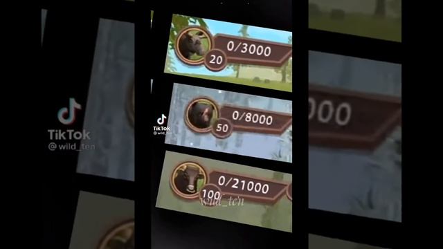 видео из тик тока WildCraft смотреть онлайн