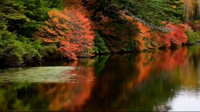 Красивая Азербайджанская песня, Gel deyir смотреть онлайн