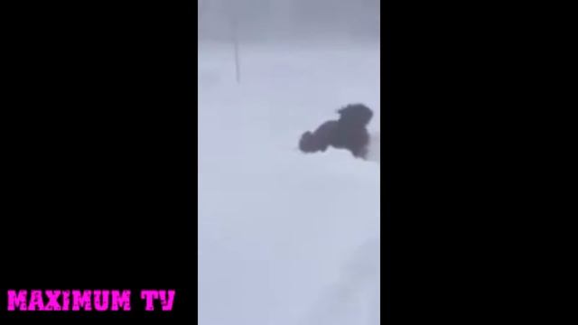 ЛУЧШИЕ ПРИКОЛЫ 2016! САМЫЕ СМЕШНЫЕ ПРИКОЛЫ полиция не может догнать воришку и многое другое смотреть онлайн
