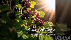 Алексей Васильев - ЧЁРНАЯ СМОРОДИНА (кавер)