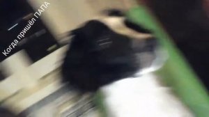 Эй толстый,ту ду ду ду.