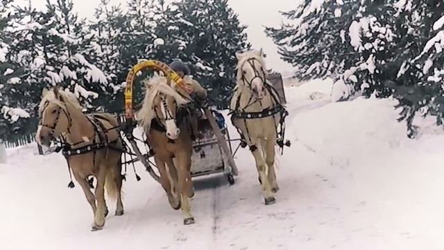 Масленица в Международной Английской Школе