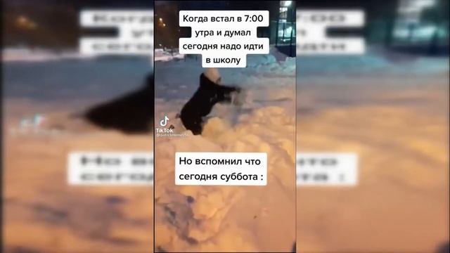 МЕМ ТИК ТОК:КОГДА ПРОСНУЛСЯ В СЕМЬ УТРА И ВСПОМНИЛ ЧТО.... #20 ЮБИЛЕЙНЫЙ смотреть онлайн