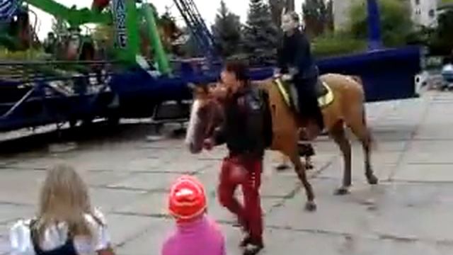 День семьи в г.Рубежное смотреть онлайн