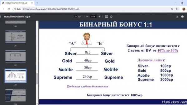 Полный разбор Маркетинг плана компании М.Интернешнл. ?