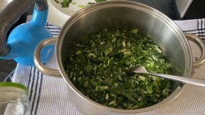 ФЕРМЕНТАЦИЯ ЧЕРЕМШИ по типу КАПУСТЫ, ЗЕЛЕНЫЙ КОКТЕЙЛЬ