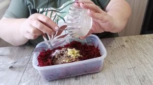 ОЧЕНЬ ВКУСНЫЙ САЛАТ ИЗ СВЕЖЕЙ КРАСНОЙ СВЁКЛЫ. Отлично?