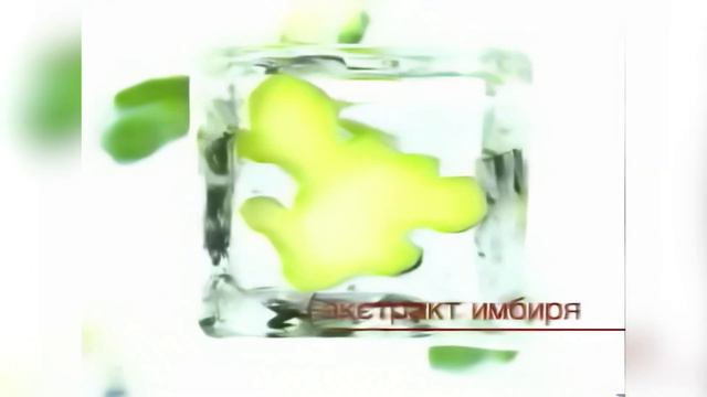 Рекламные блоки и анонсы (Первый канал, 13 февраля 2005) [21