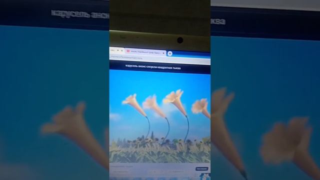 Фрагмент Эфира Карусель (04'2016) смотреть онлайн