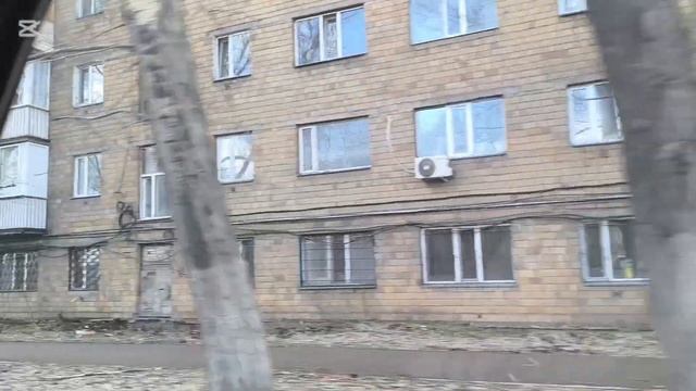 Снова Караганда. Первые цветы.