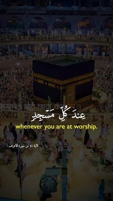 Uncle Kira, you're a fool! смотреть онлайн