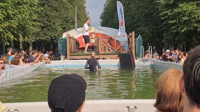 Собаки. Соревнования Парк Крестовский остров. Смешные