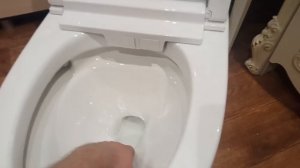 Умный унитаз Meishida JUYI172  с AliExpress, проблема со сливом, реш