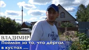 Владимир что вы делаете? Малину хаваю.