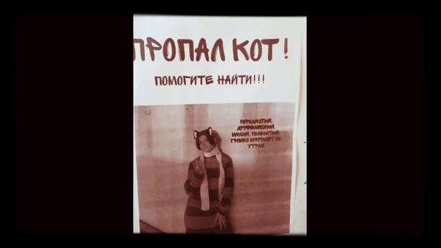 Необычные и прикольные фотографии смотреть онлайн