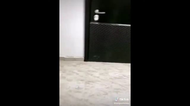 Тик-Ток Серго приколы смешные моменты из Тик-Тока смотреть онлайн