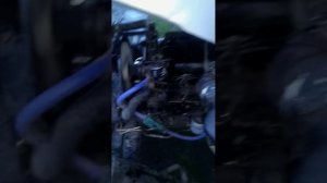 Двоит двигатель трактор скаут 254