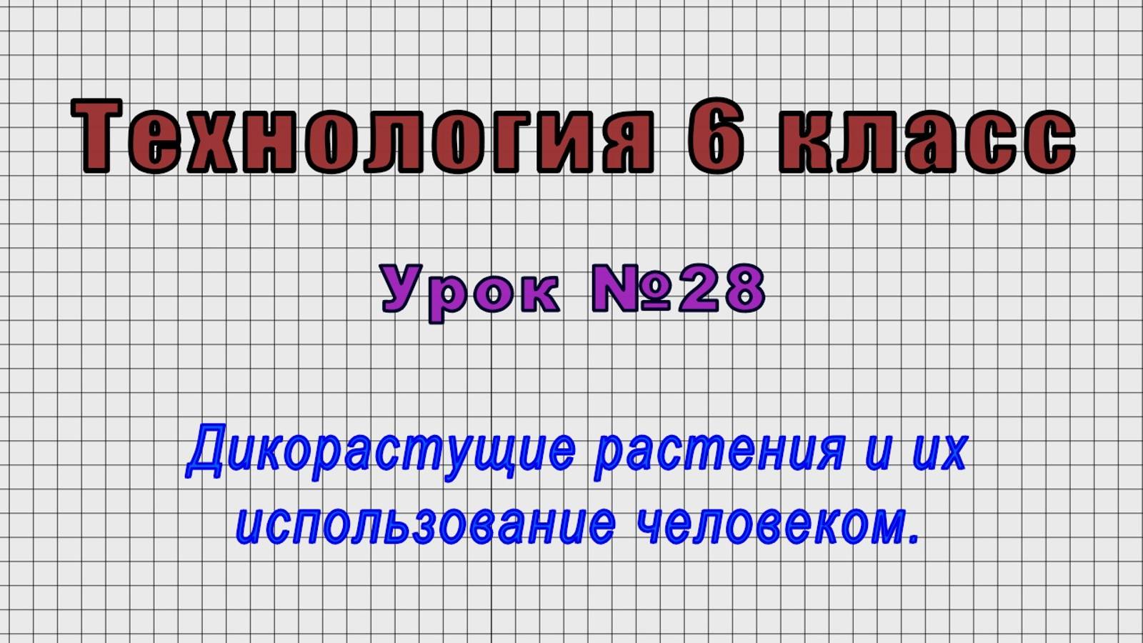 Технология 6 класс (Урок№28 - Дикорастущие растения и их использование человеком.)