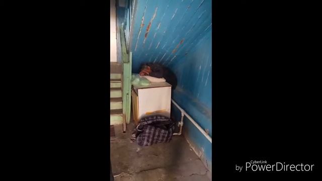 Ержан, бомж! Вставай на работу пора! смотреть онлайн
