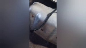 BRP Ski doo mxz x-rs 600 sdi 2007,прямоток.