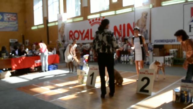 Уфа выставка 14.9.13 смотреть онлайн