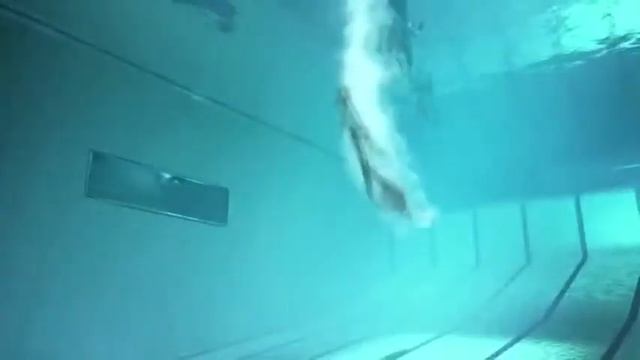 Прикольные видео 2015 Смотреть Смешные Приколы Про Людей смотреть онлайн
