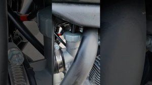 Мотоцикл Кросс Motoland XT300 HS (175FMM), лёгкий обзор из нашего ?