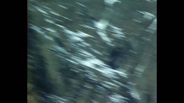 паранойя — ALASKA PUFFER смотреть онлайн