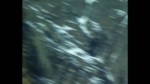 паранойя — ALASKA PUFFER