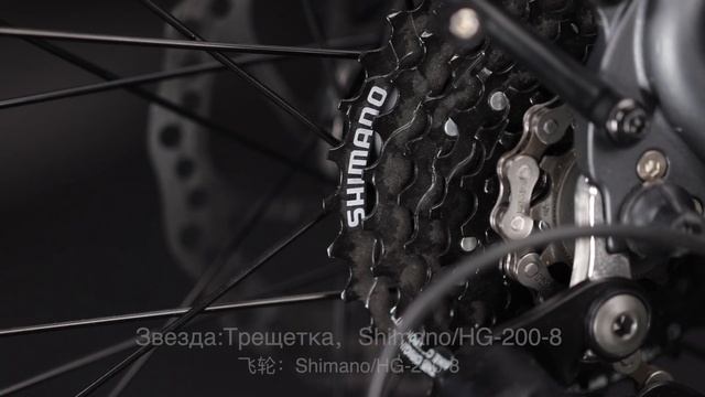 Электровелосипед Timetry D209 с двигателем Bafang M210, кассета S