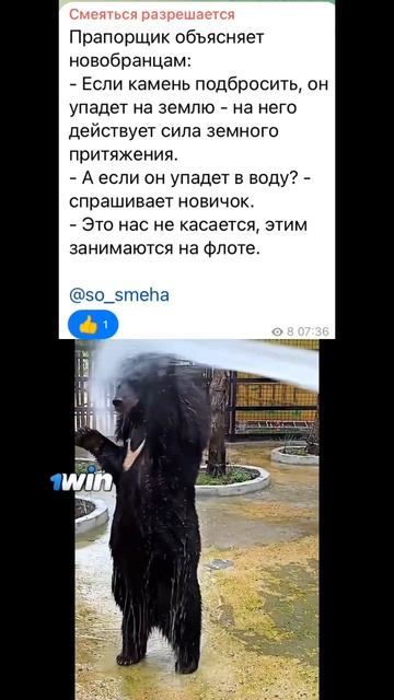 Тонко #анекдоты #юмор #смешноевидео #вовочка #работа #мемы #подпишись #дети смотреть онлайн